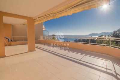 Appartement à vendre piscine vue panoramique mer cannes 