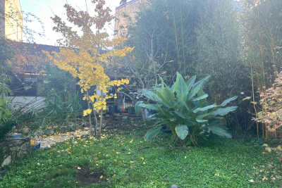 terrain à vendre pied saint genes