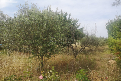 terrain à vendre moins de 130000 euro