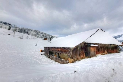 Maison à vendre à MORZINE Abondance   