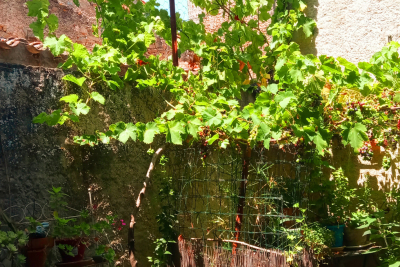 Maison &agrave; vendre &agrave; immobilier TRAUSSE  - 3 pi&egrave;ces - 106 m&sup2; 