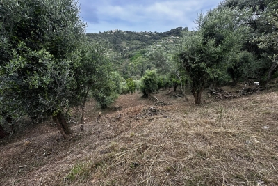 terrain à vendre à NICE   - 2450 m² 