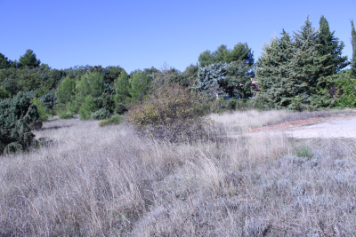 terrain à vendre à Baudinard-sur-Verdon   1526 m² 