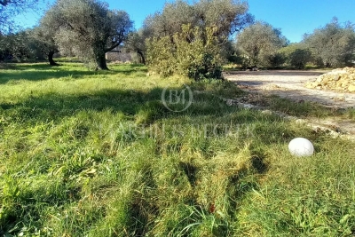 terrain à vendre loger opio