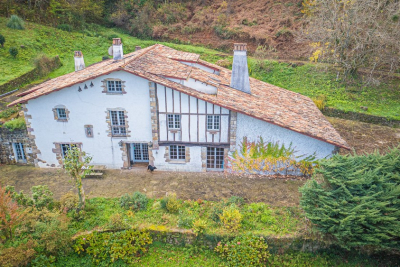 Maison à vendre à ST-PEE-SUR-NIVELLE  - 12 pièces - 493 m² 