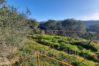 terrain à vendre à Nice   7894 m² 
