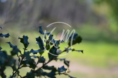 Building plot for sale in ARÈS   - 800 m² 