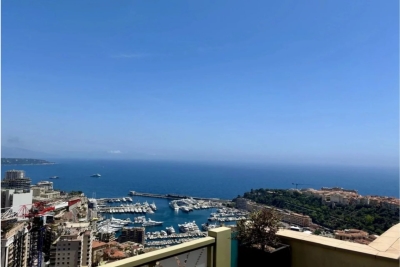 Appartement à vendre à MONACO  - 3 pièces - 250 m² 