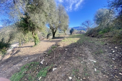 terrain à vendre à DRAP   - 1000 m² 