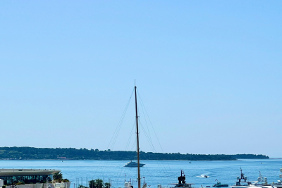 Appartement à vendre plafond cannes 