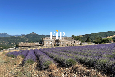 Maison &agrave; vendre &agrave; DIGNE-LES-BAINS  - 20 pi&egrave;ces - 400 m&sup2; 