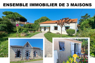 Maison à vendre à MESCHERS SUR GIRONDE Port-d'Envaux - 10 pièces - 197 m² 