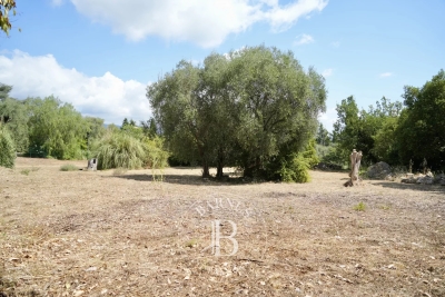 Building plot for sale in ROQUEFORT-LES-PINS Nord  - 2749 m&sup2; 