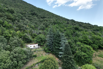 Maison à vendre à ST-ROMAN-DE-CODIERES  - 3 pièces - 42 m² 