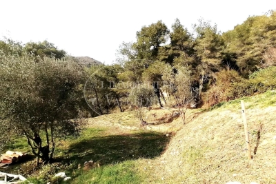 Building plot for sale in TOURRETTE-LEVENS Carabacel  - 2550 m² 