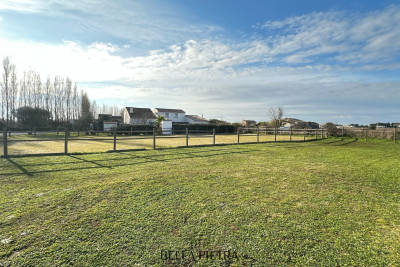 Maison à vendre à AIMARGUES Saint-Maximin - 10 pièces - 302 m² 