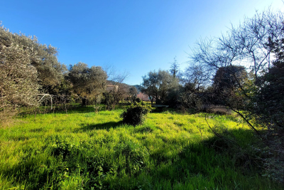 terrain à vendre à ST-PAUL-TROIS-CHÂTEAUX Chanos-Curson  - 1189 m² 