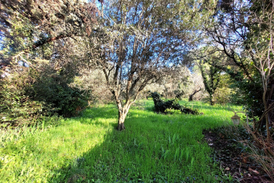 terrain à vendre à ST-PAUL-TROIS-CHÂTEAUX Saint-Sauveur-Gouvernet  - 1581 m² 