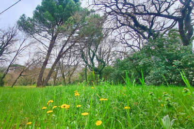 terrain à vendre terrain est nord 