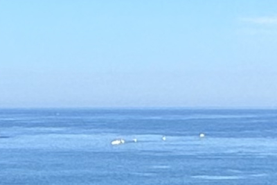 Maison à vendre à ST-JEAN-DE-LUZ  - 6 pièces - 210 m² 