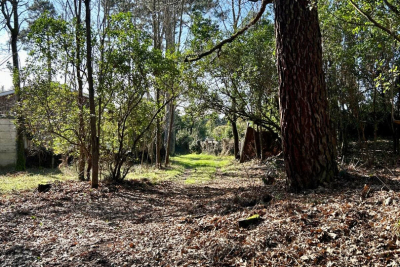 Maison à vendre à CAP-FERRET Capeyron 2 - 3 pièces - 45 m² 