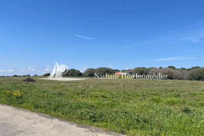 terrain à vendre à PERPIGNAN   - 1628 m² 