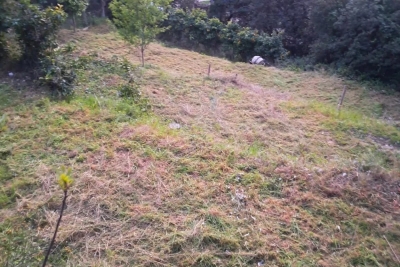 terrain &agrave; vendre &agrave; NICE Saint-Pancrace-Pessicart  - 1002 m&sup2; 