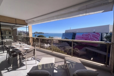 Appartement &agrave; vendre cannes marche 