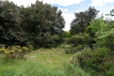 terrain à vendre à UZÈS   - 834 m² 