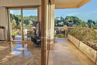 Appartement à vendre piscine tennis alpes maritimes