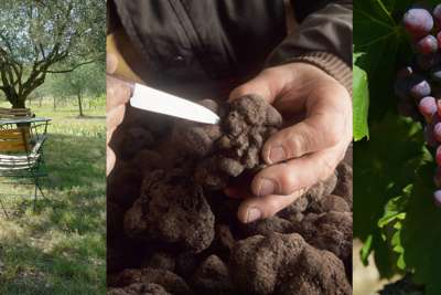 terrain à vendre à ROCHEGUDE Les Granges-Gontardes  - 20000 m² 