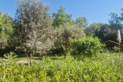 terrain à vendre à OPIO Parc Chambrun  - 3000 m² 