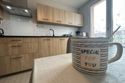 Appartement &agrave; vendre h drome 