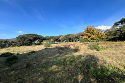 terrain à vendre piscine centre ville ste maxime 