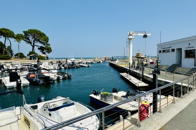 Maison à vendre villa avec piscine les pins 