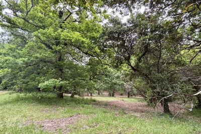 terrain à vendre à ARCACHON    