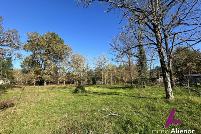 Building plot for sale in ORIGNE   - 2776 m² 