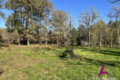 terrain &agrave; vendre &agrave; ORIGNE   - 2776 m&sup2; 