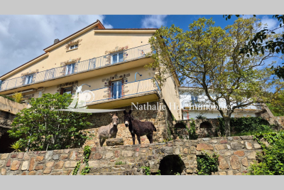 Maison à vendre à MAUREILLAS LAS ILLAS  - 6 pièces - 390 m² 