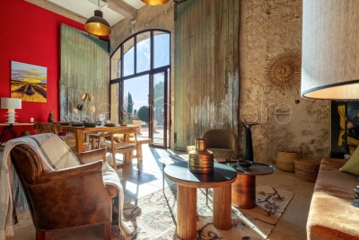 House for sale in L'ISLE-SUR-LA-SORGUE  - 29 rooms - 850 m² 