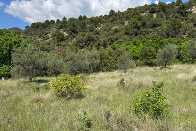 terrain à vendre à NYONS Les Granges-Gontardes  - 1419 m² 