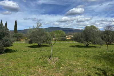 Building plot for sale in BEDOIN    