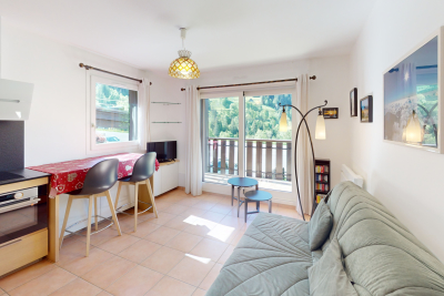 Apartment for sale in LA CLUSAZ  - 2 rooms - 32 m² 