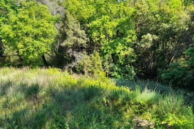 terrain à vendre appartement quartier magnan