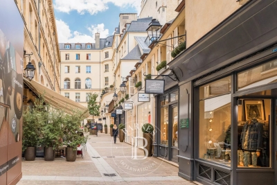 Appartement à vendre vue sur la seine paris 