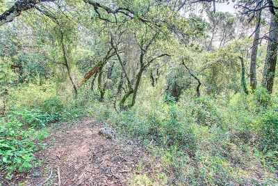 terrain &agrave; vendre terrain non constructible 