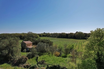 Maison à vendre à UZÈS La Plaine - 3 pièces - 37 m² 