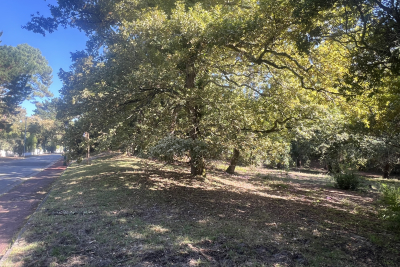 terrain à vendre à ARCACHON   - 1050 m² 