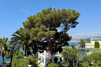 Appartement à vendre à NICE  - 3 pièces - 54 m² 