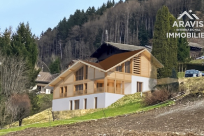 terrain à vendre à immobilier THONES   - 663 m² 